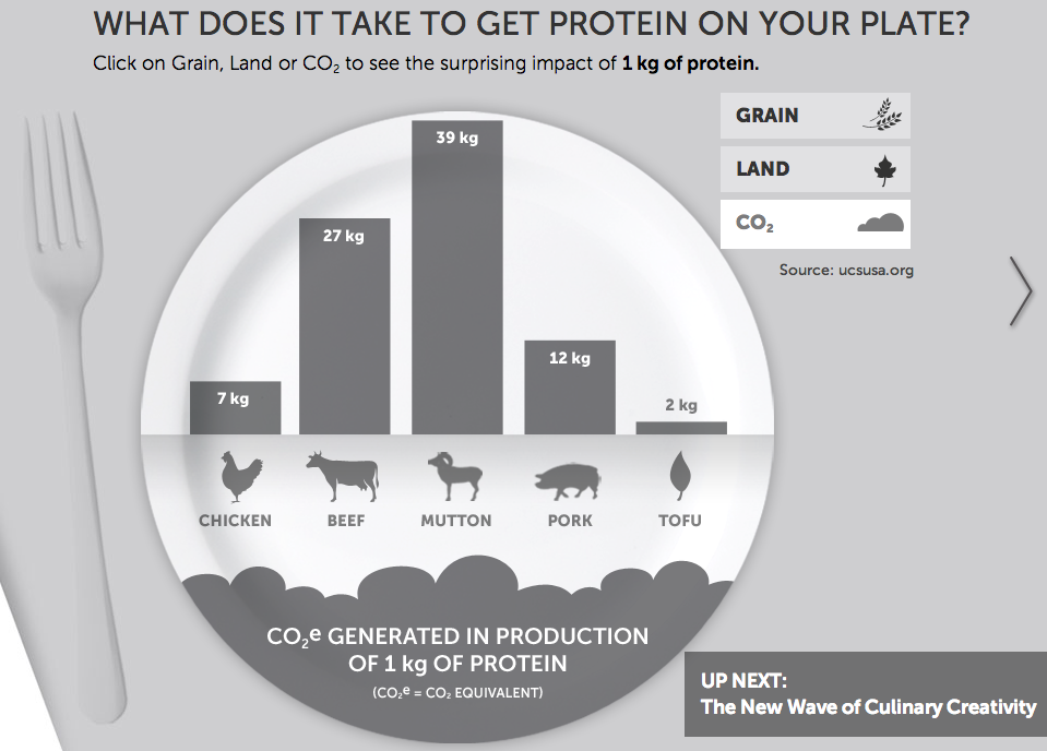 environmentalimpactmeatCO2 Alwyn Marriage